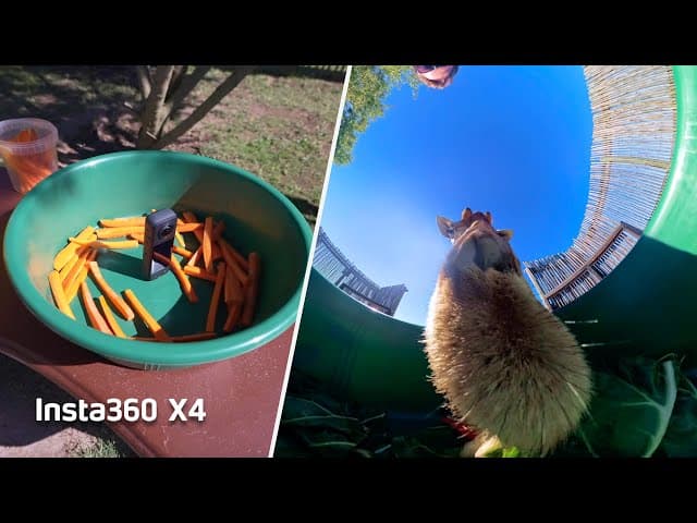 Insta360 X4 - 10+ Fun, Fresh Shot Ideas