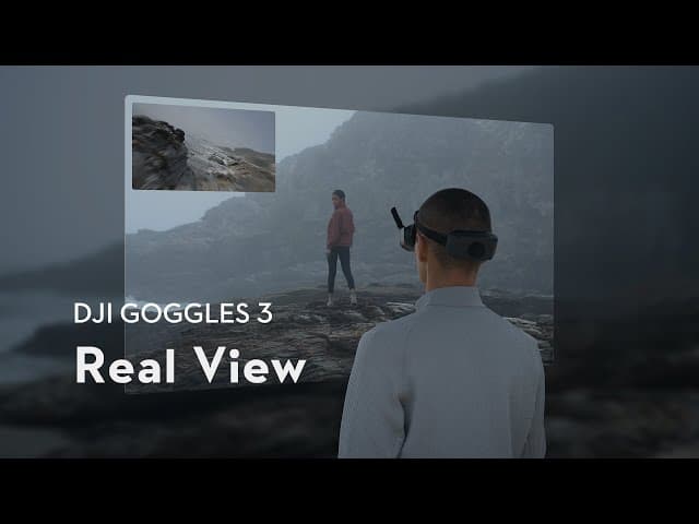 Real View