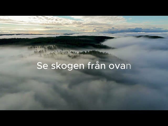 Global Forester med drönarstöd för skogsbruket, Skogsnolia 2026