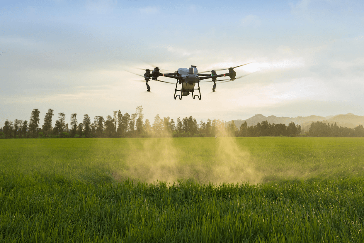 En drönare sprider gödningsmedel över en grön åker under en klar himmel.