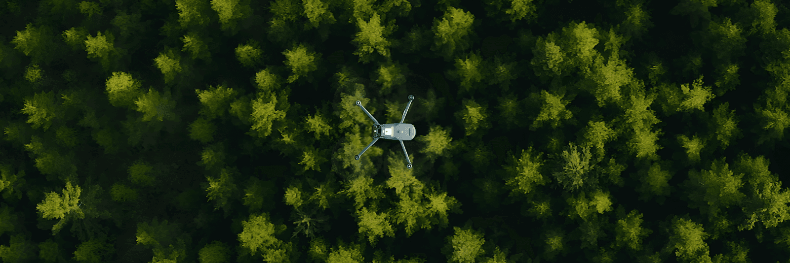 Drönare flyger över skog