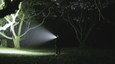 En person står i en mörk skog och lyser upp omgivningen med en ficklampa, vilket skapar en mystisk atmosfär.